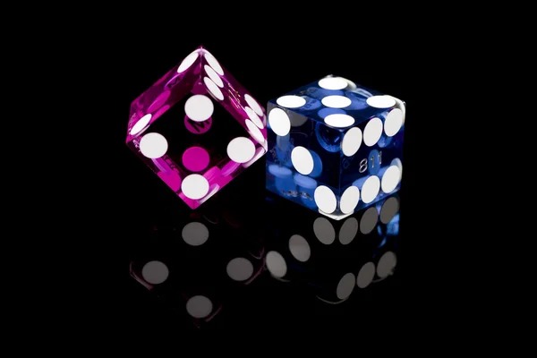 susu 4d Our Terms & Conditions Shape Your Account